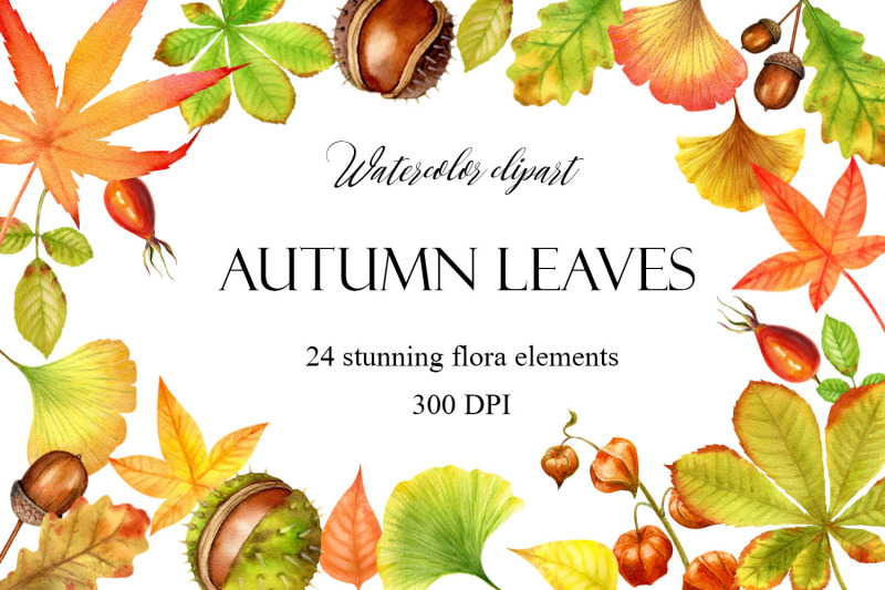 watercolor-fall-leaves-clipart-autumn-digital-download-wedding-fall