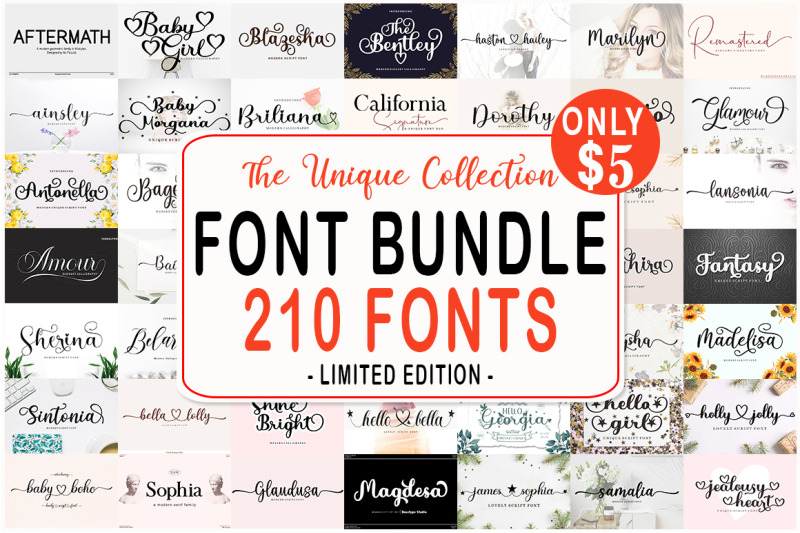 the-unique-collection-font-bundle