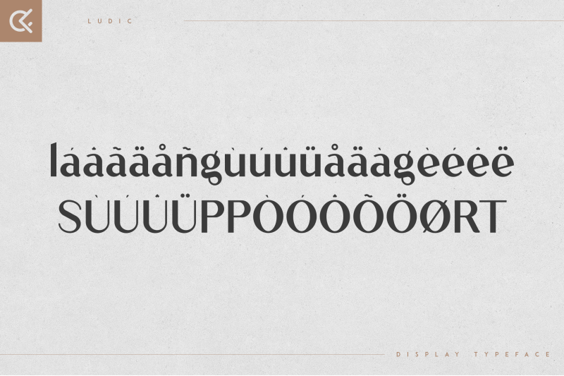 ludic-display-vintage-font