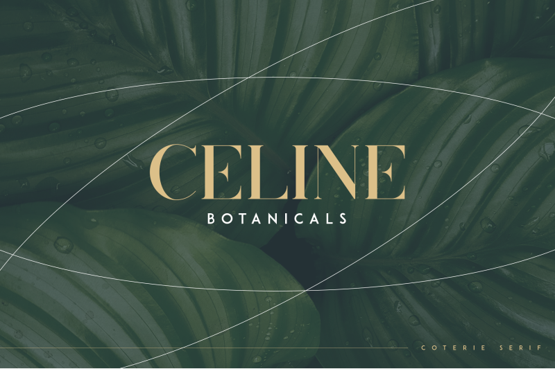 coterie-elegant-serif-font