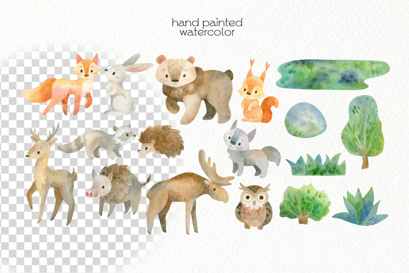 watercolor-forest-animals-clipart-png-files