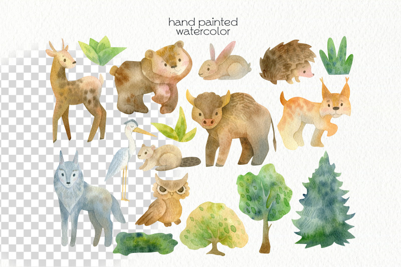 watercolor-forest-animals-clipart-png-files