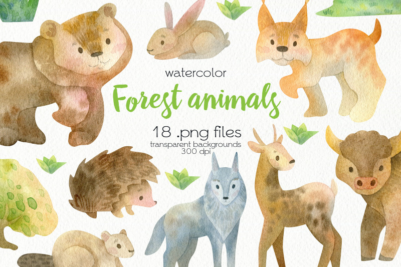 watercolor-forest-animals-clipart-png-files