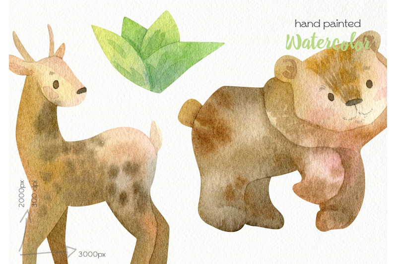 watercolor-forest-animals-clipart-png-files