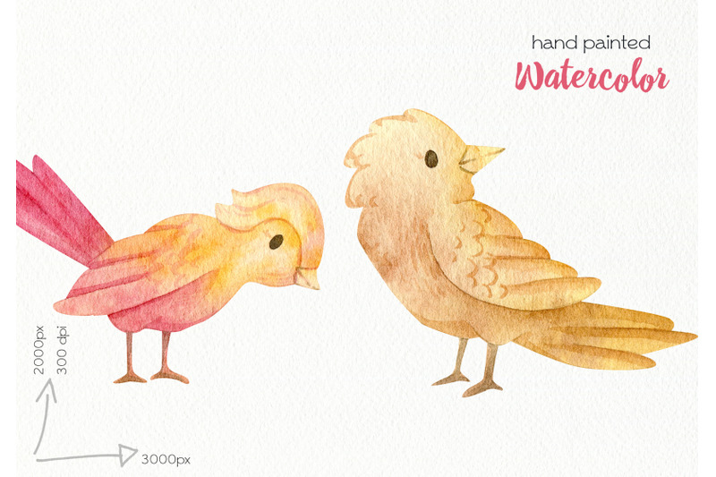 watercolor-birds-clipart-png-files