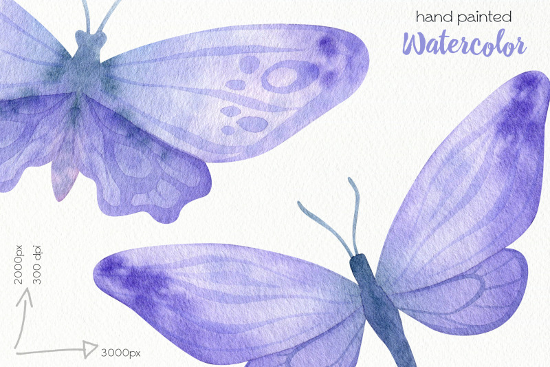 watercolor-purple-butterflies-clipart-png-files