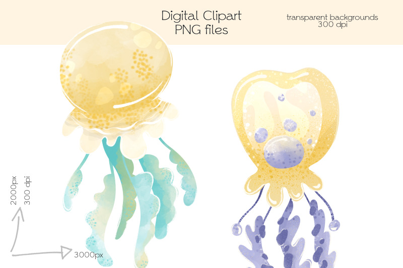 jellyfish-clipart-png-files