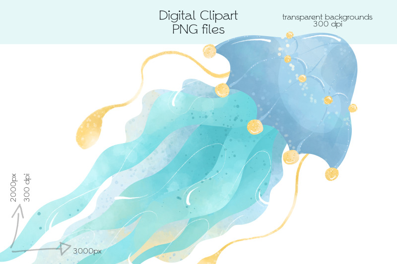 jellyfish-clipart-png-files