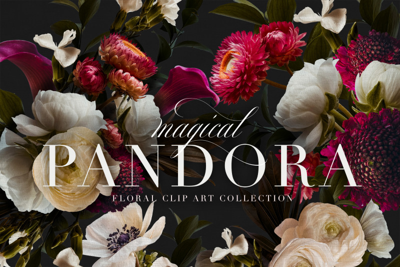 pandora-moody-floral-clip-art-graphics-collection