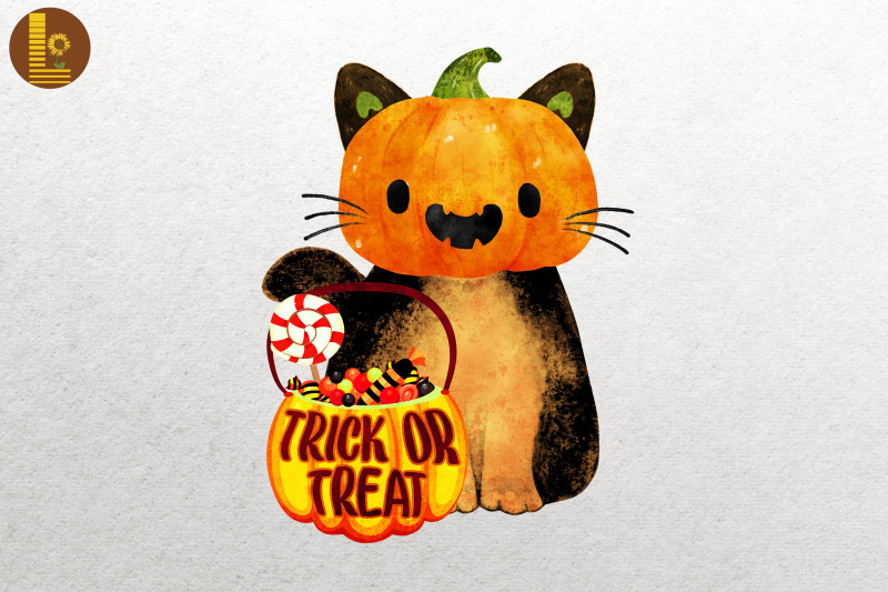 pumpkin-head-cat-halloween-pumpkin-cat