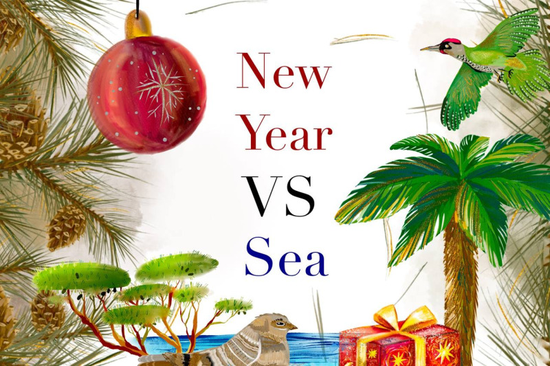 new-year-vs-sea