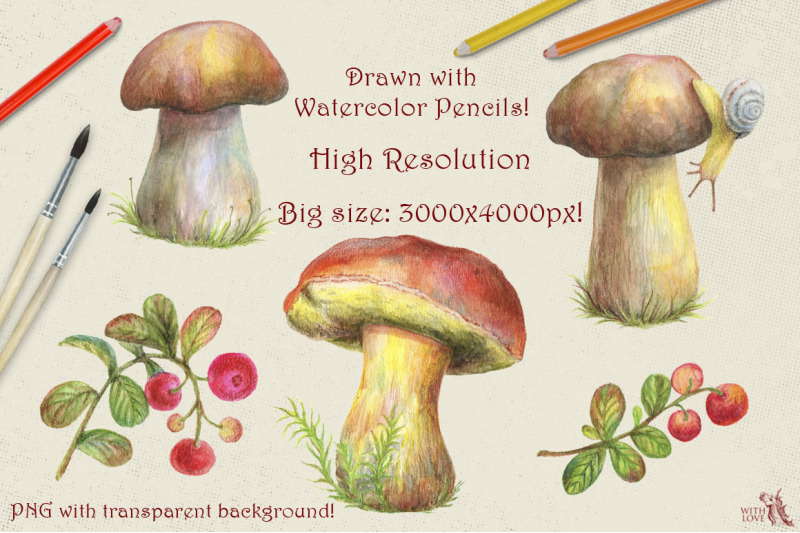 mushrooms-amp-lingonberry-watercolor-set