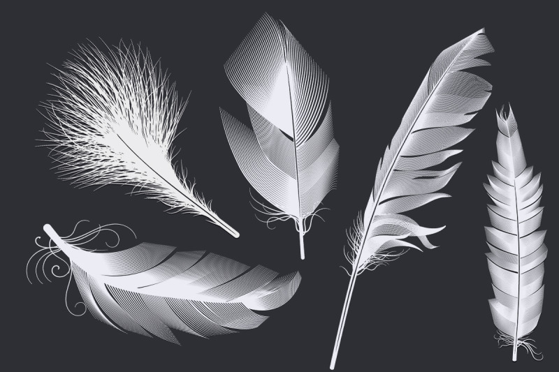 bundle-feathers-silhouettes-svg