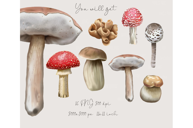 watercolor-mushrooms-clipart-fall-clipart-fall-forest