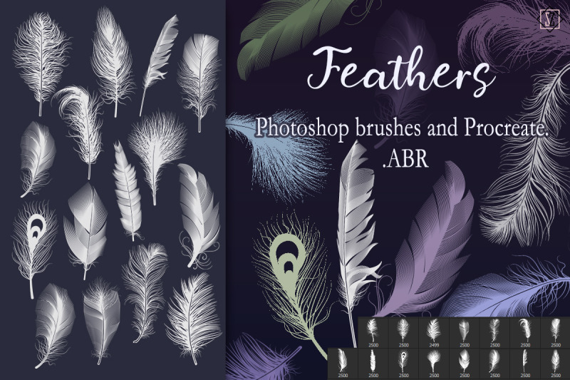 feather-brushes-for-photoshop-and-procreate-abr