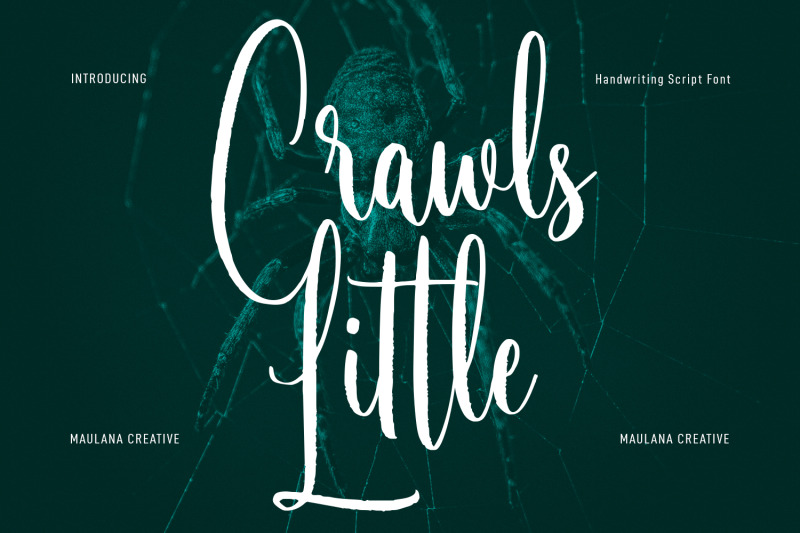 little-crawls-script-font