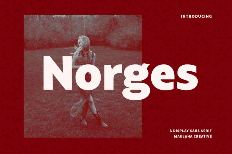 norges-sans-serif-font