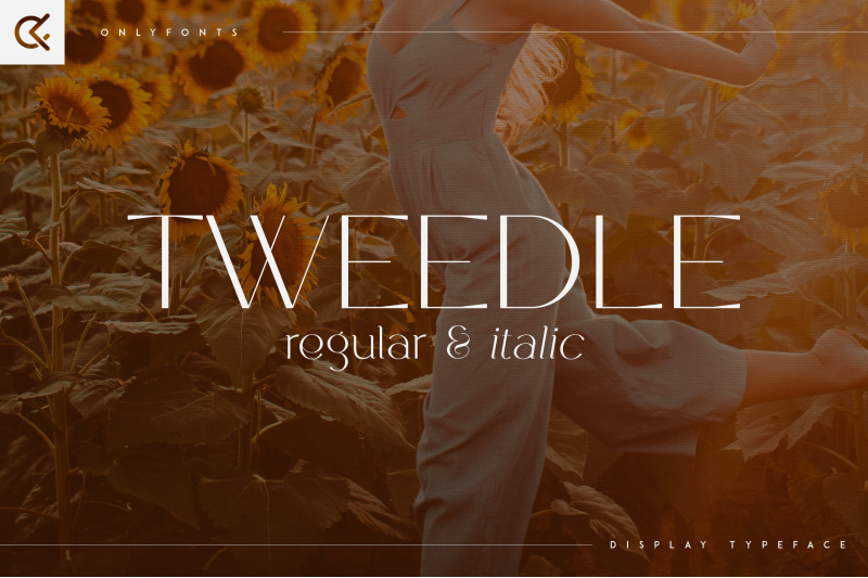 tweedle-display-typeface