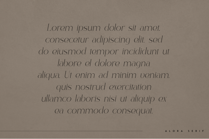 alora-serif-typeface-4-fonts