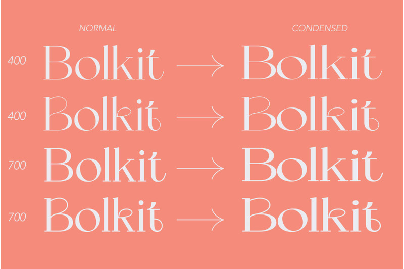 bolkit-display-serif