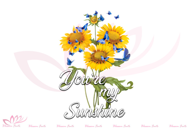 sunflower-sublimation-bundle-20-png