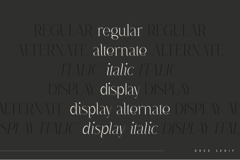 dree-serif-typeface-6-fonts