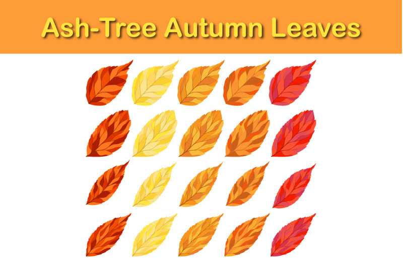 birch-tree-leaf-set