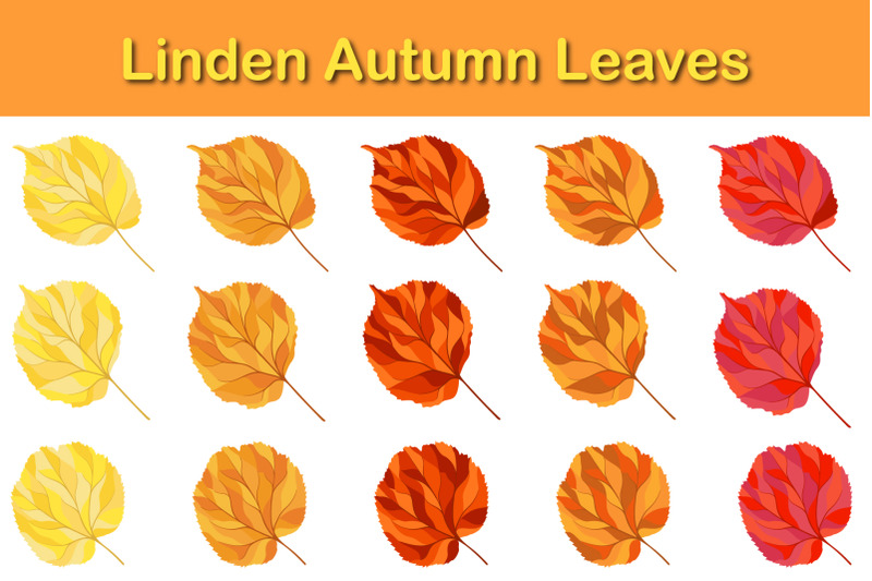 autumn-linden-leaf