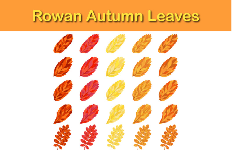 autumn-rowan-leaf