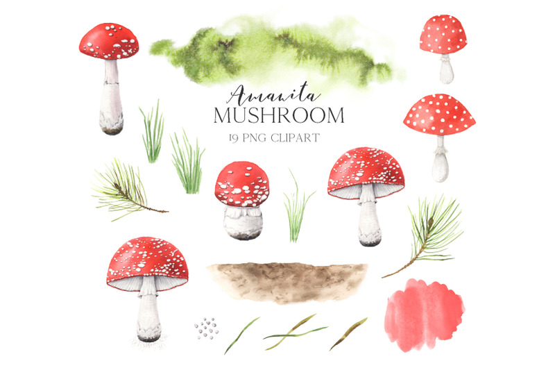 watercolor-amanita-mushrooms-png-clipart