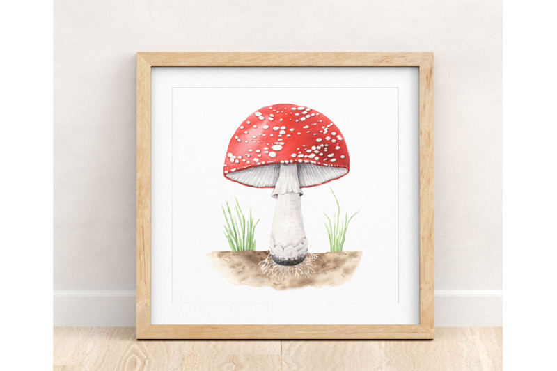 watercolor-amanita-mushrooms-png-clipart
