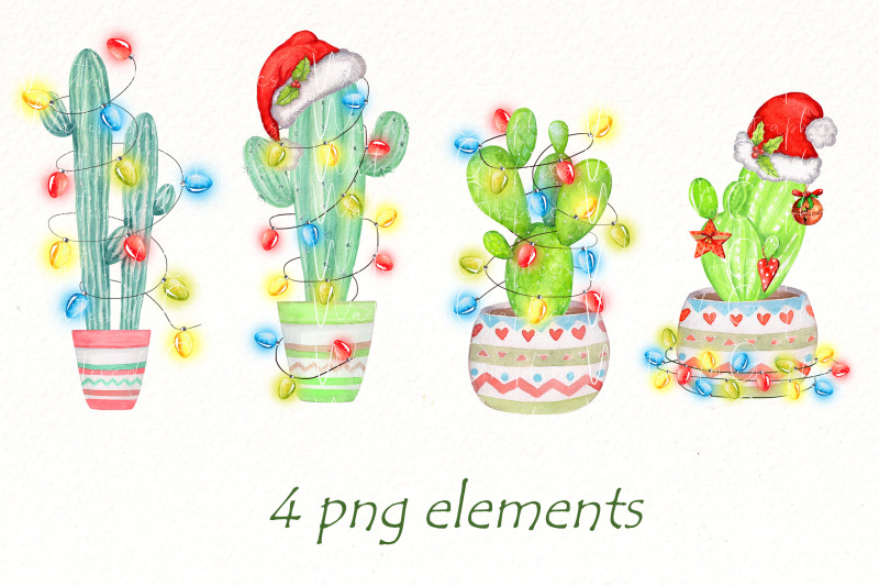 watercolor-christmas-cactus-clipart-bundle-cactus-png