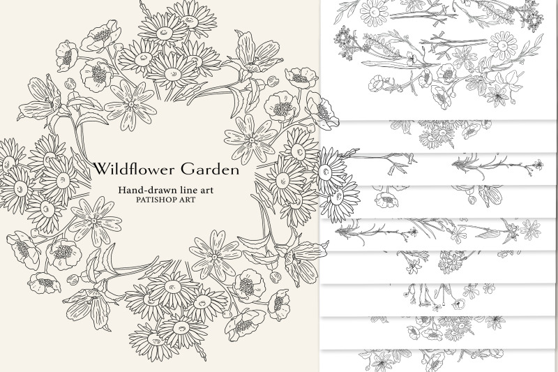 line-art-wildflower-clipart-collection-sketched-botanicals