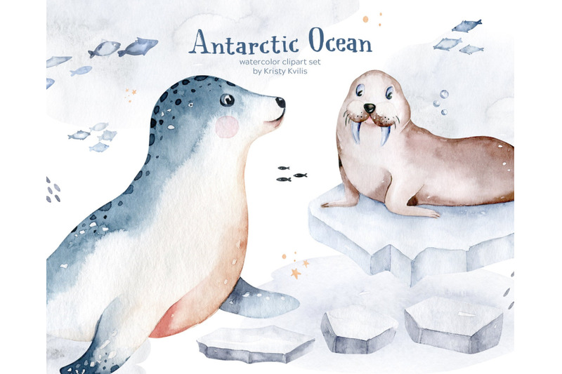watercolor-seal-walrus-clipart-set-polar-tern-ice-stars-snowflake
