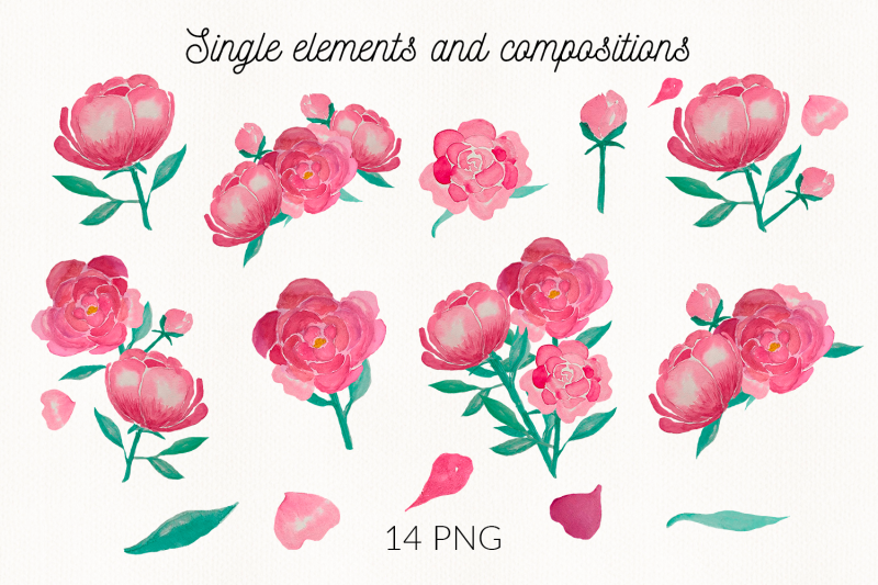 peony-watercolor-clipart-sublimation-pink-peony-png-watercolor-flower