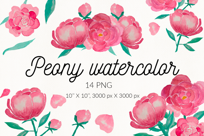 peony-watercolor-clipart-sublimation-pink-peony-png-watercolor-flower