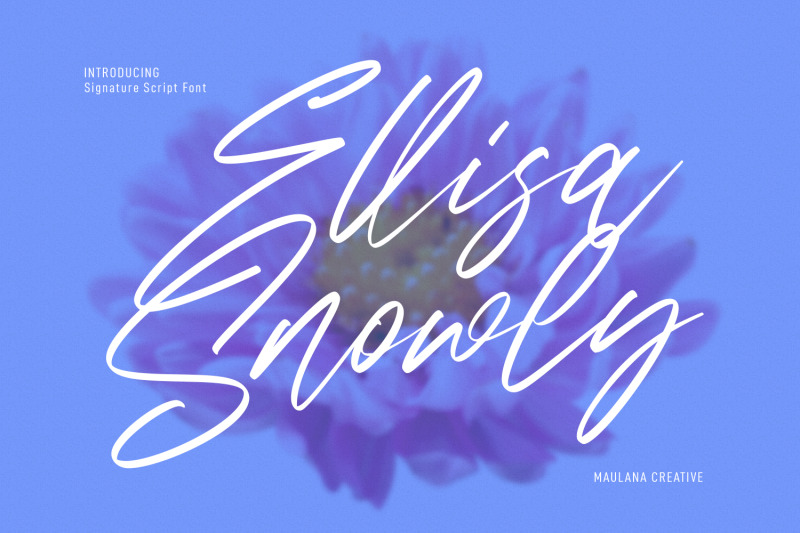 ellisa-snowly-signature-script-font