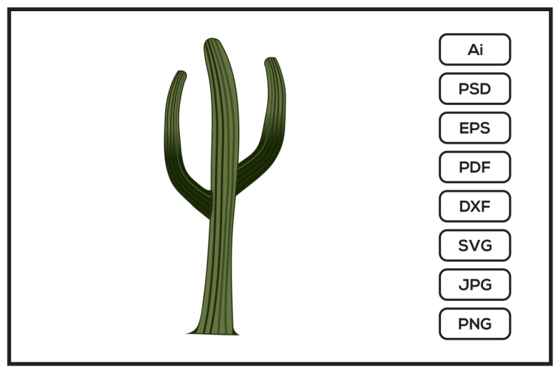 saguaro-cactus-cartoon-design-illustration