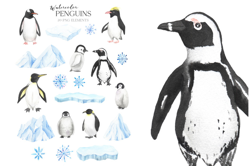 watercolor-penguin-animals-clipart