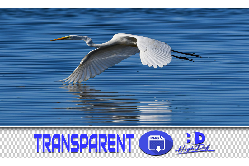 50-heron-transparent-png-animals-photoshop-overlays-backgrounds