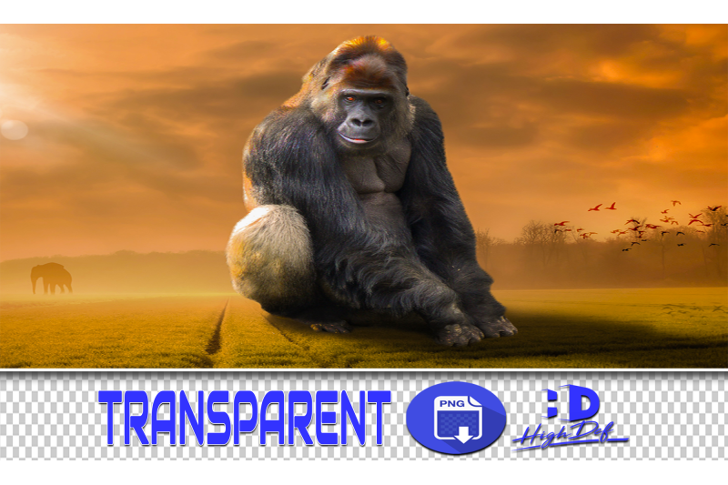 download big monkey photoshop