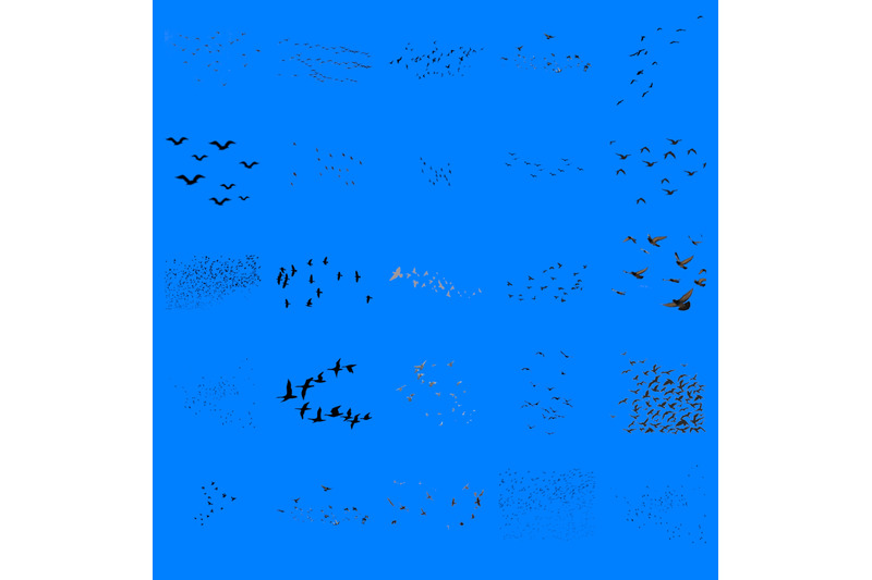 100-bird-flock-transparent-png-animals-photoshop-overlays-backgrounds