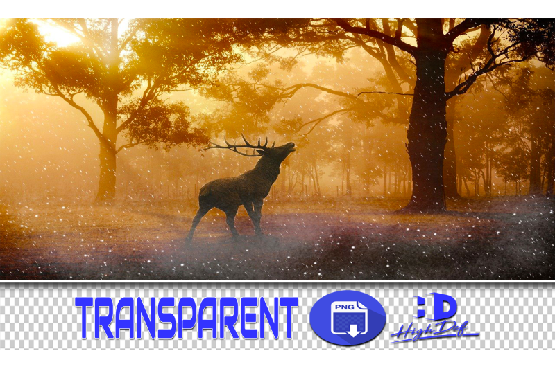 100-deer-reindeer-transparent-png-animals-photoshop-overlays
