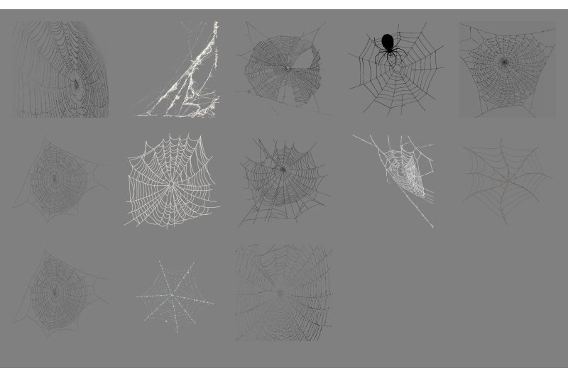 100-spiders-amp-cobwebs-transparent-png-animals-photoshop-overlays