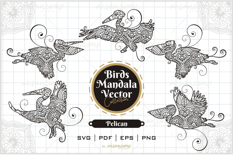 pelican-mandala-vector