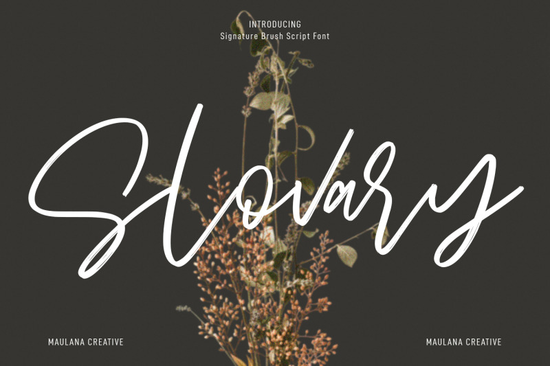 slovary-script-font