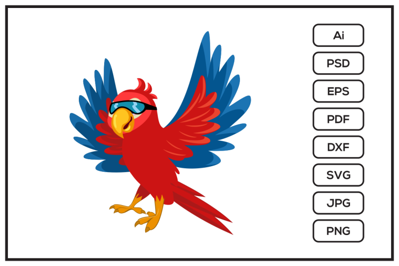 cartoon-character-parrot-birds-design-illustration