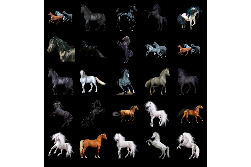 200-horses-transparent-png-animals-photoshop-overlays-backgrounds
