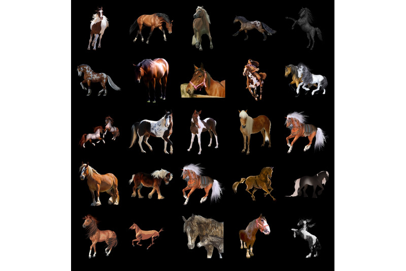 200-horses-transparent-png-animals-photoshop-overlays-backgrounds
