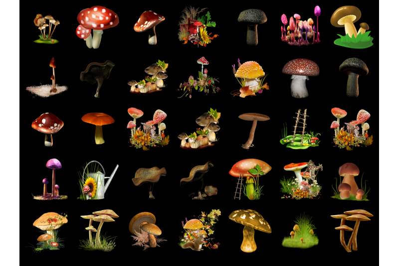 200-mushrooms-transparent-png-photoshop-overlays-backgrounds